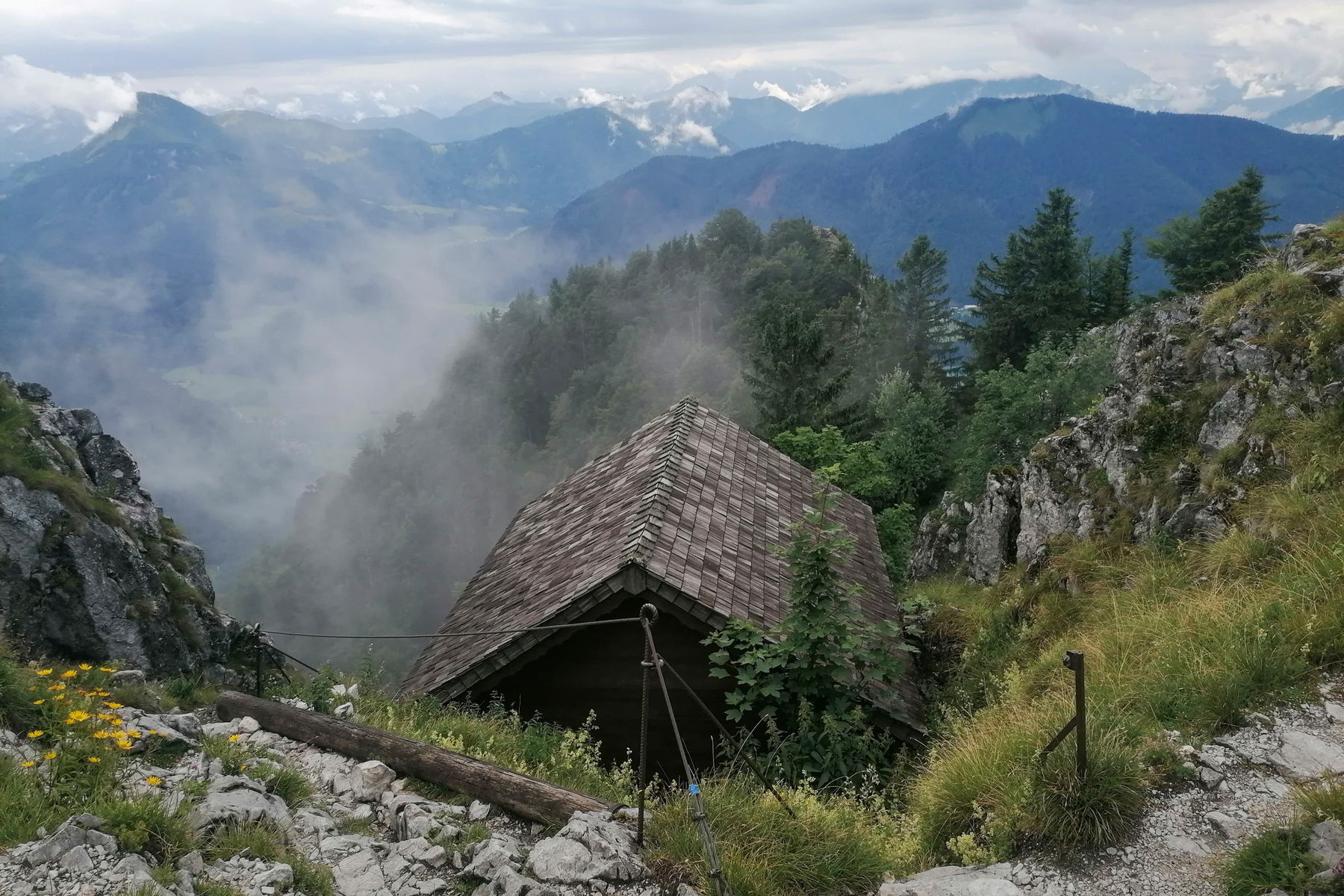 Mein bisheriges Foto des Jahres. Foto: Sarah Pallauf