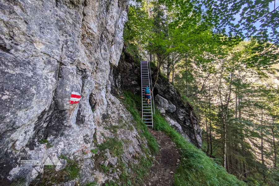 Die erste Leiter. Foto: Anna, POW AT