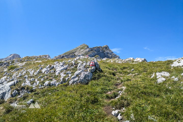 Nach der Latschenzone hat man schon bald den Gipfel in Sichtweite. Das letzte Teilstück ist landschaftlich äußerst lohnend, wenngleich auch wieder etwas technischer (3. Foto). Foto: Anna, POW AT