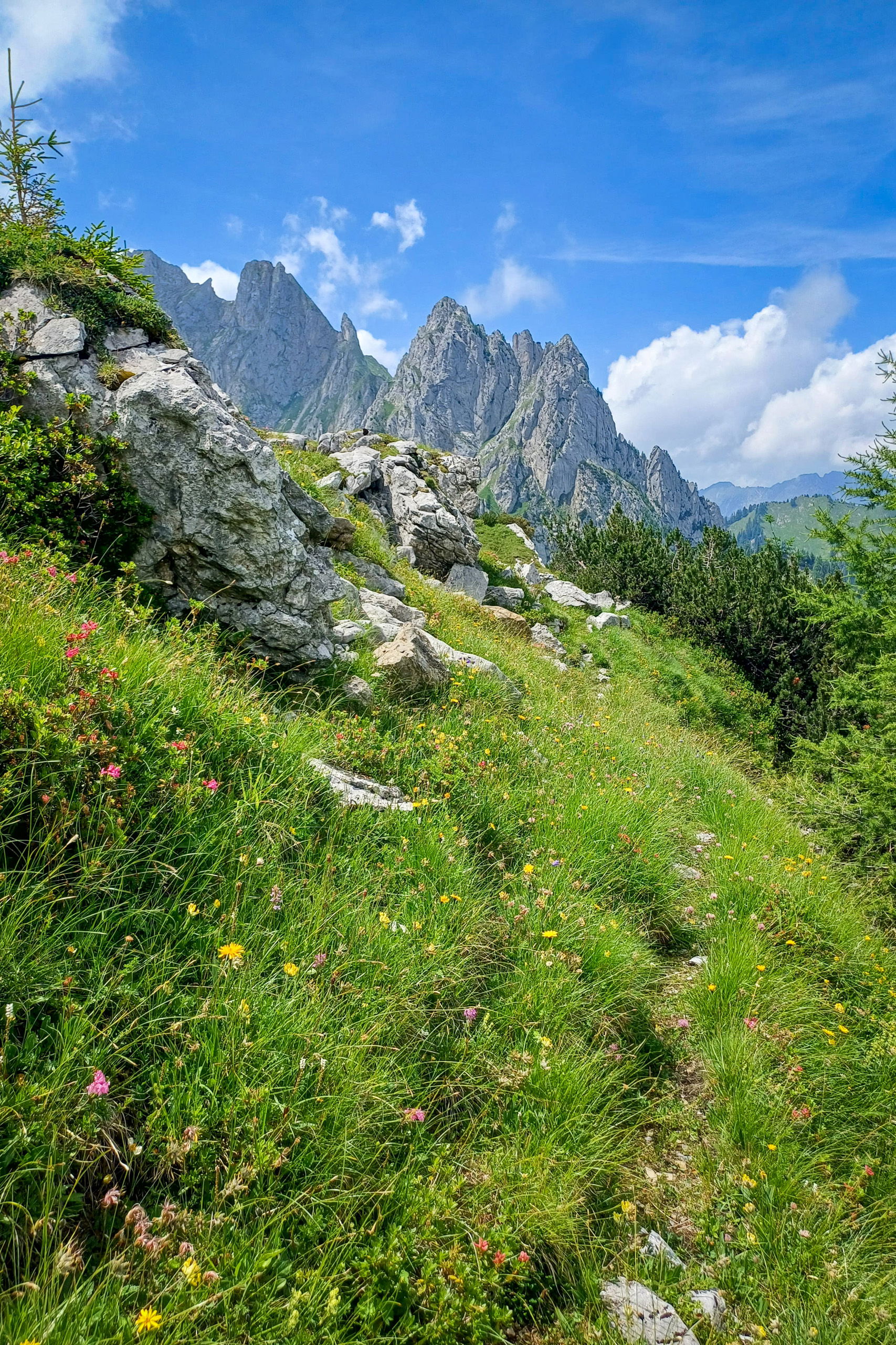 Über blühende Almwiesen und durch Felsblöcke; Schwierigste Stelle des Weges: wegloser Durchstieg durch den Bachlauf. Fotos: Norman und Lisa