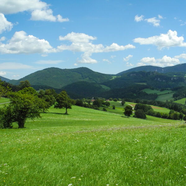 Mittagsrastplatz mit Blick auf die Ochsenheide. Foto: Barbara Wanzenböck