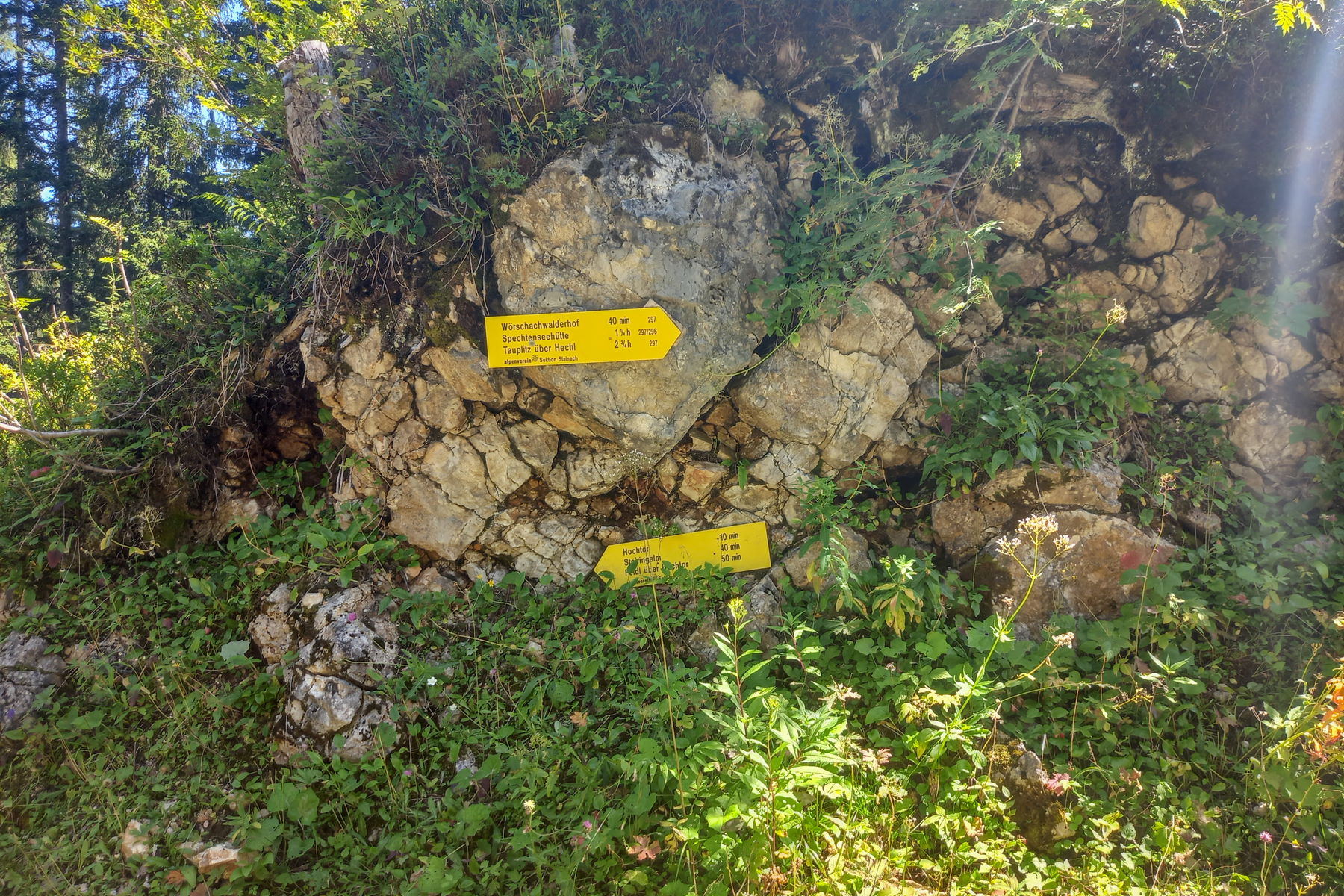 Weg 297 zum Wörschachwalderhof. Foto: Martina Friesenbichler