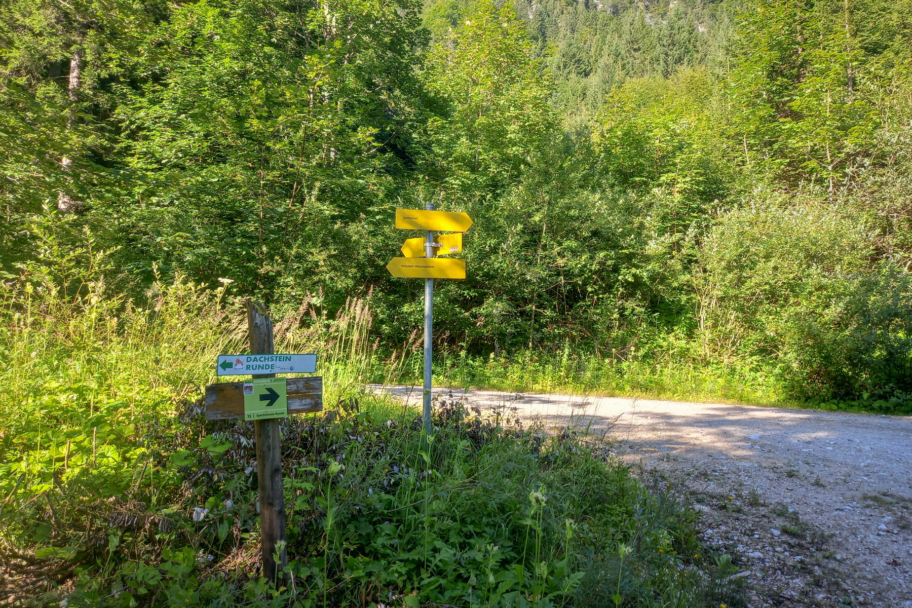 Spechtensee-Runde nach Wörschachwald. Foto: Martina Friesenbichler