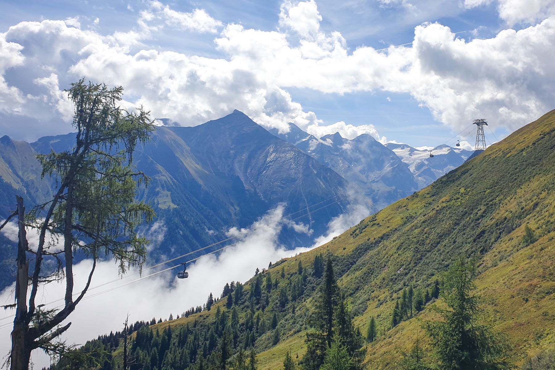 Fotos: Markus Büchler