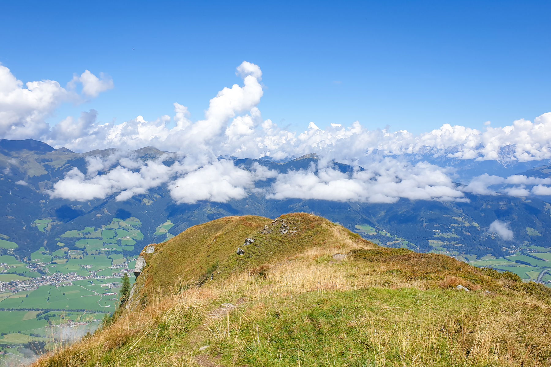 Fotos: Markus Büchler