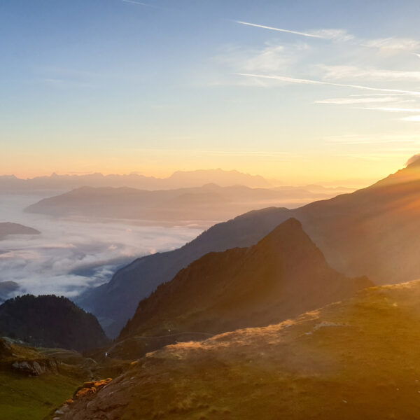 Morgenstimmung. Foto: Markus Büchler