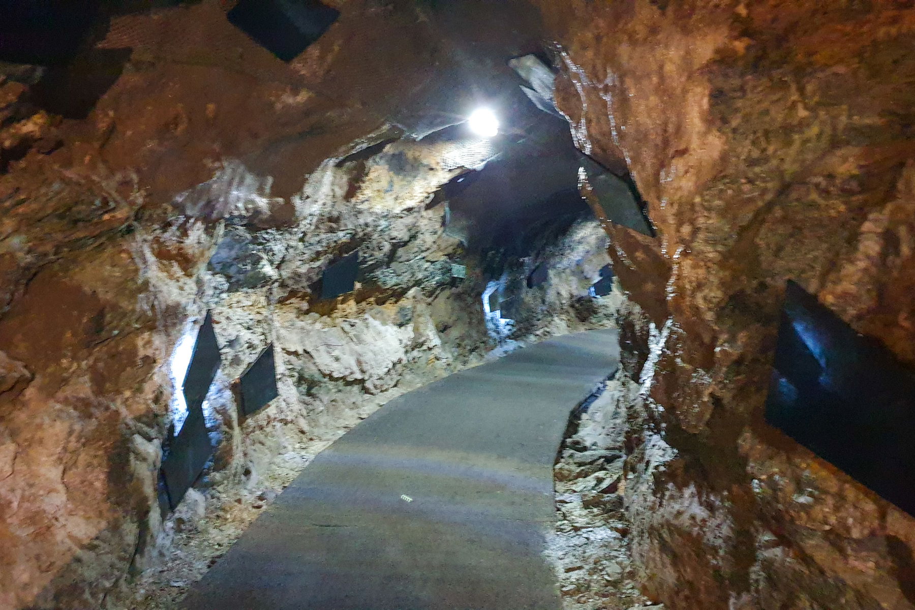 Foto: Markus Büchler