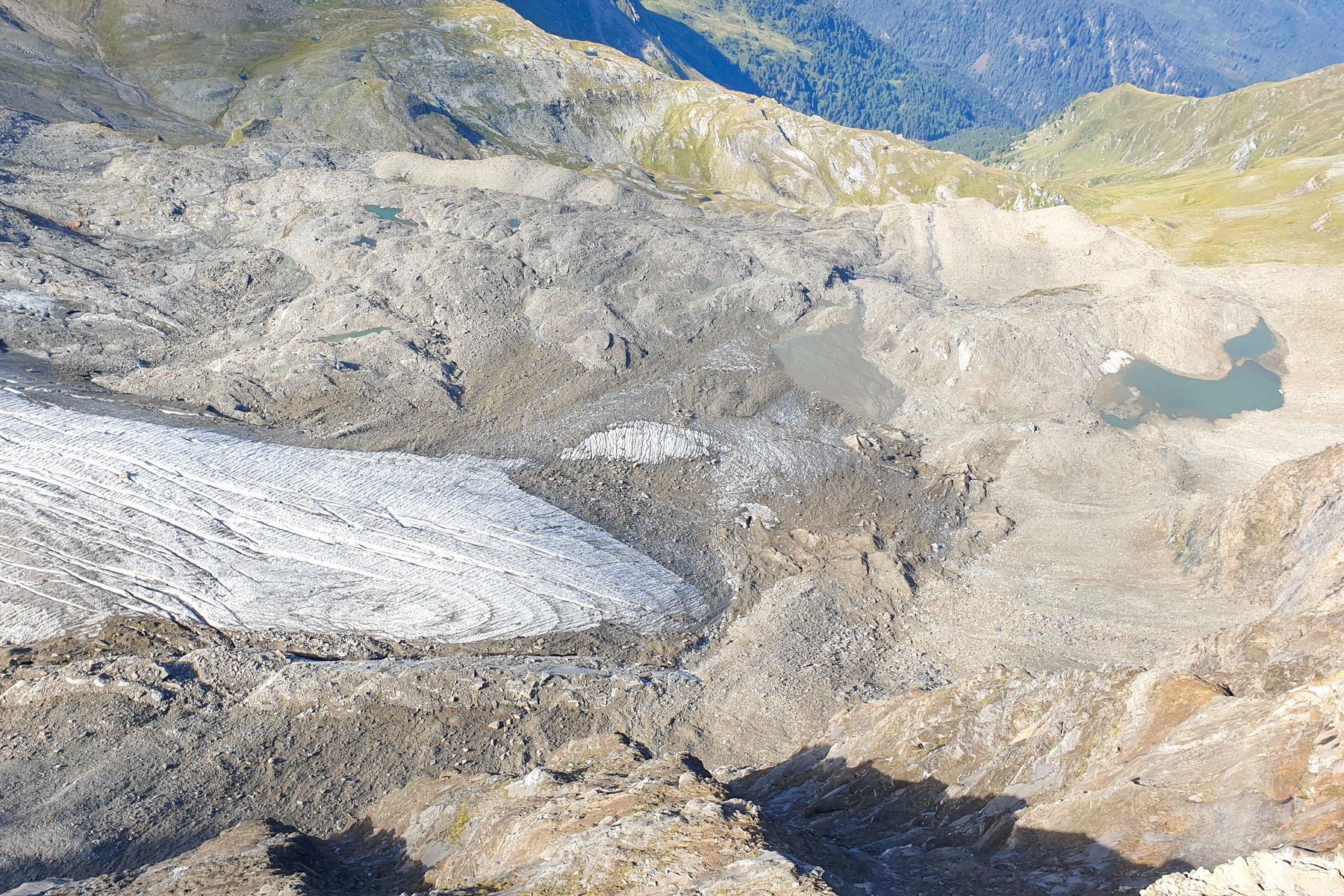 Foto: Markus Büchler