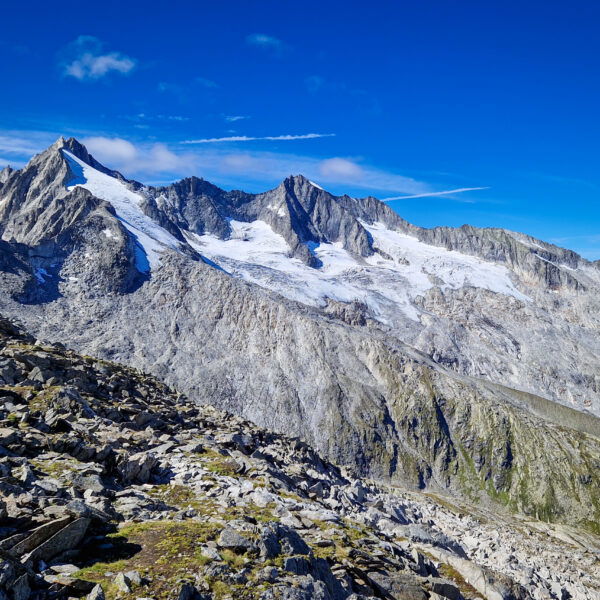 Foto: Markus Büchler