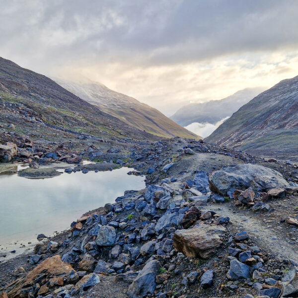 Morgenstimmung. Foto: Markus Büchler