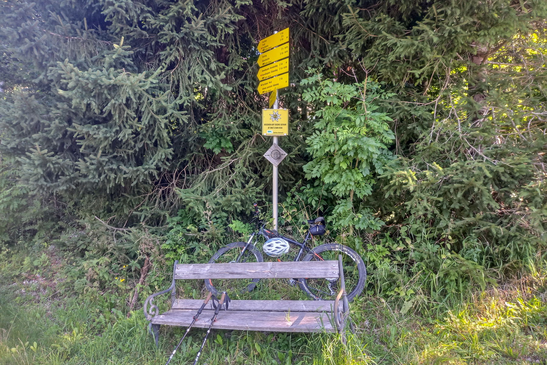 Wechselzone oberhalb vom Wörschachwalderhof. Foto: Martina Friesenbichler