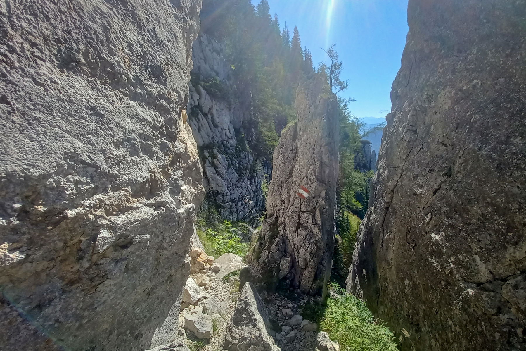 Felsnadel beim Aufstieg. Foto: Martina Friesenbichler
