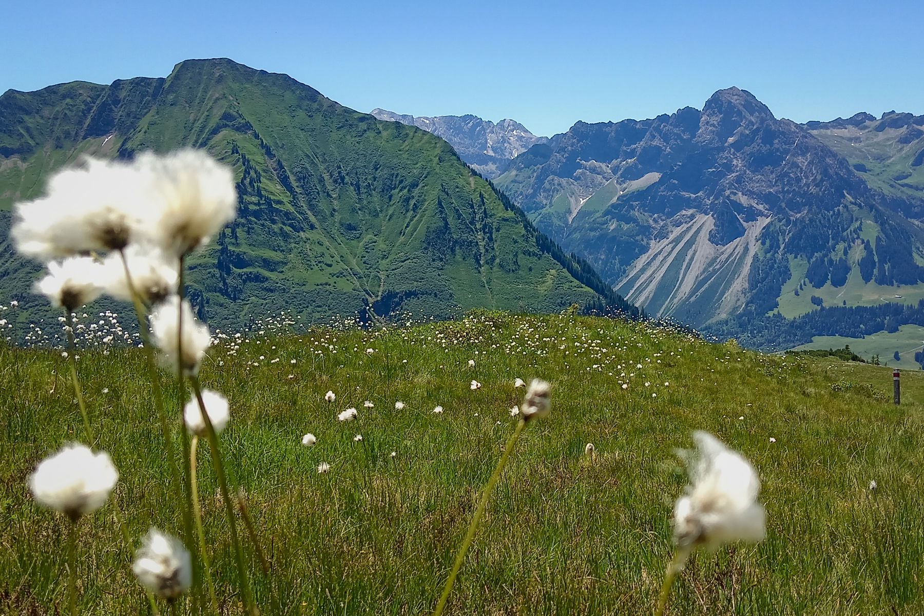 Abstieg Richtung Schoppernau mit Blick auf Hohe Künzel. Foto: Norman und Lisa