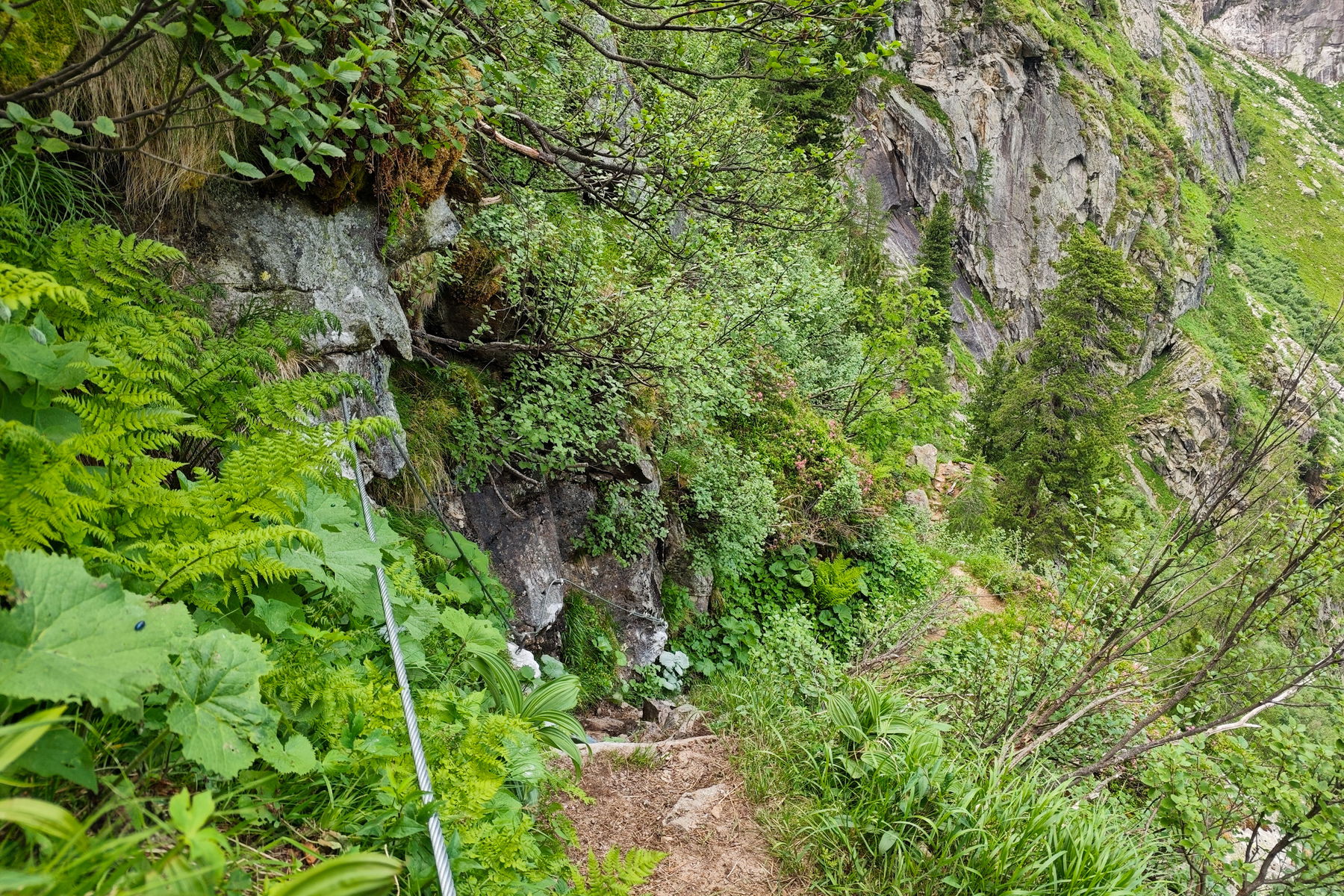 Am neuen Stahlseil geht’s nach oben. Foto: Lisa Nussdorfer