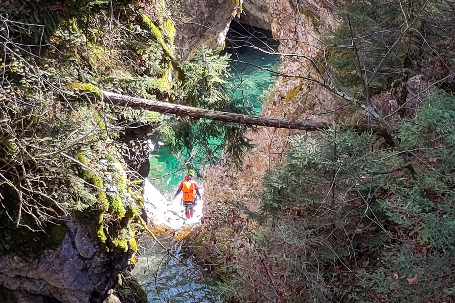 Was soll man dazu sagen? Jedem das Seine! – vor dem Absprung in das smaragdgrüne Nass. Foto: Karl Plohovich