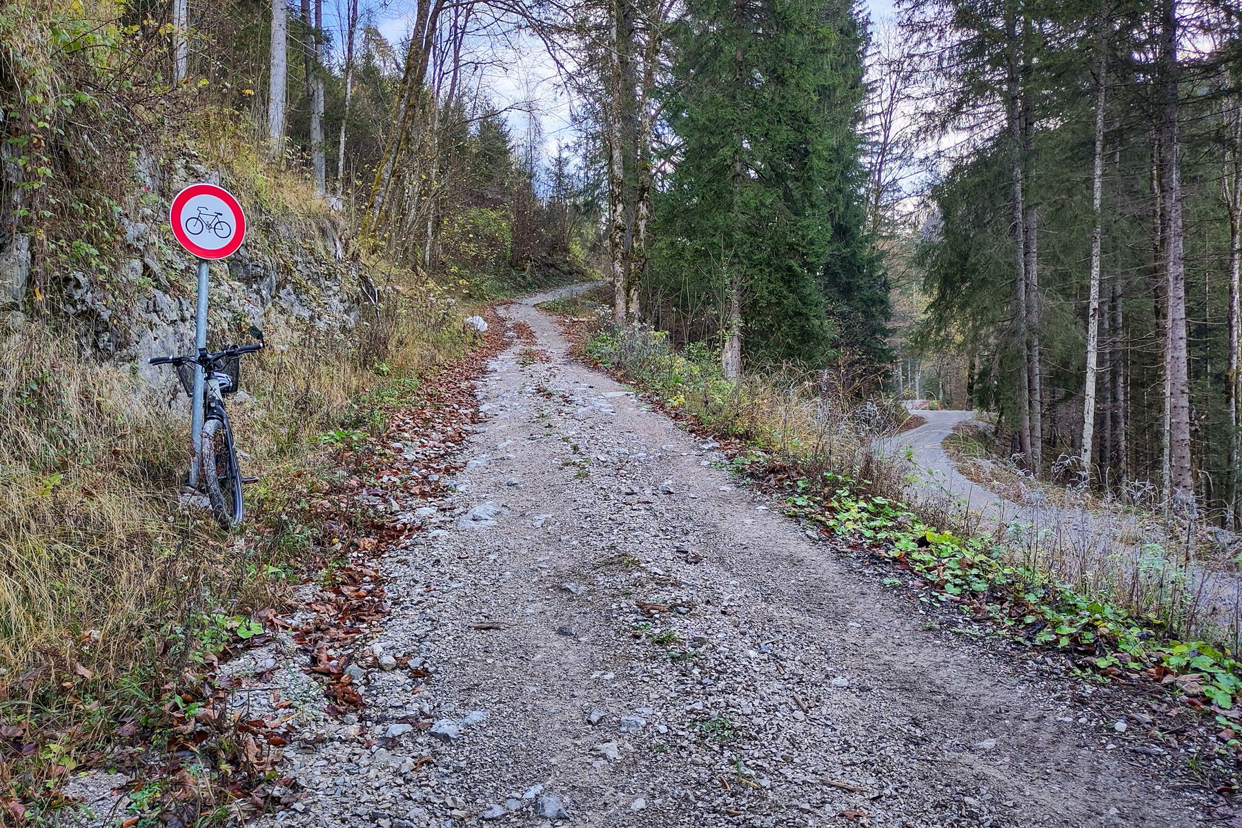 Folgsam… rechts geht’s noch viele Kilometer auf die Postalm. Foto: Karl Plohovich