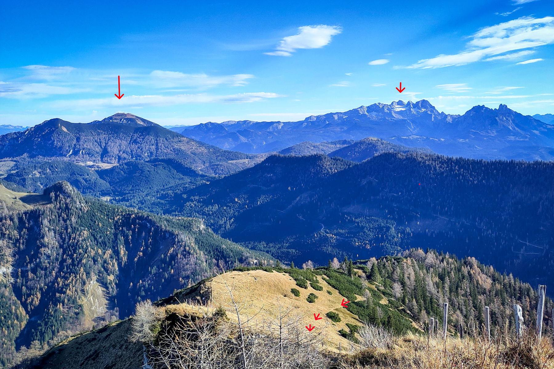 Blick nach OSO: Gamsfeld und Hoher Dachstein; unten der Weg zum Gipfel. Foto: Karl Plohovich
