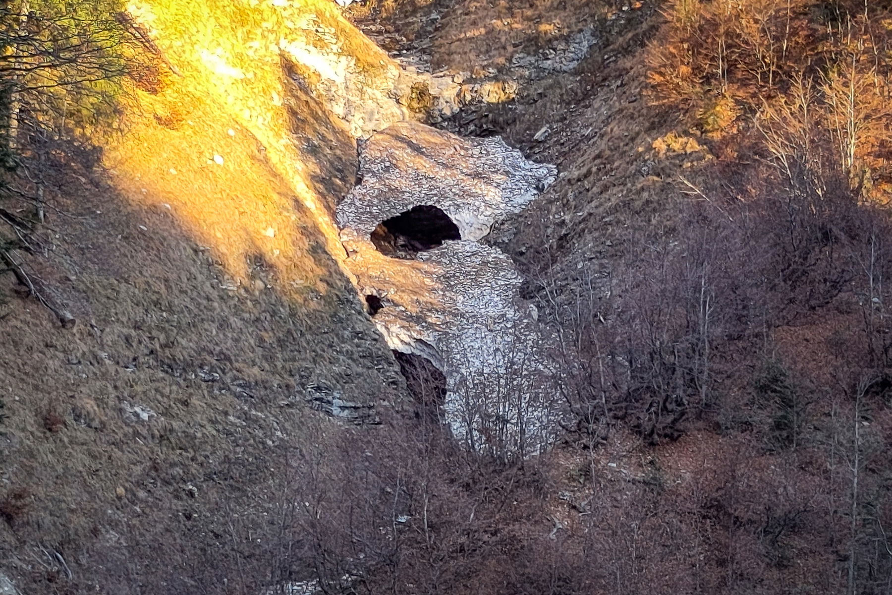 Wild und mild zugleich. Foto: Karl Plohovich