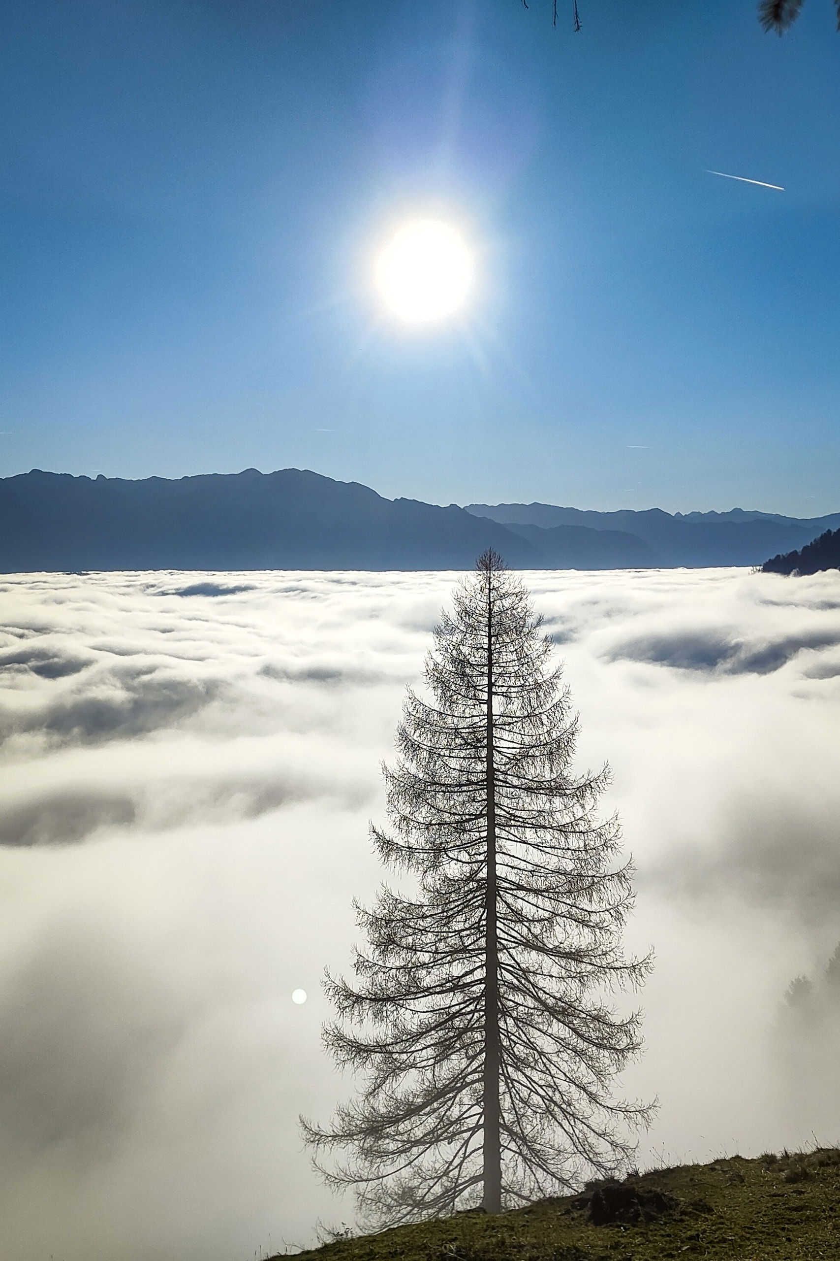 Feenhaft; Rainhard Mey ist auch ohne Flugzeug möglich! Fotos: Karl Plohovich