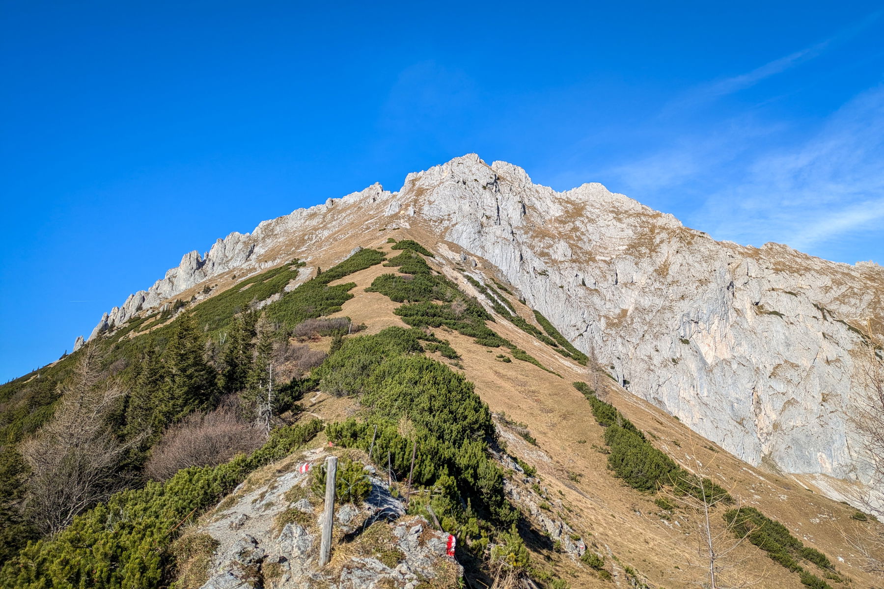 … erreichen wir den Lamingsattel. Foto: Anna, POW AT