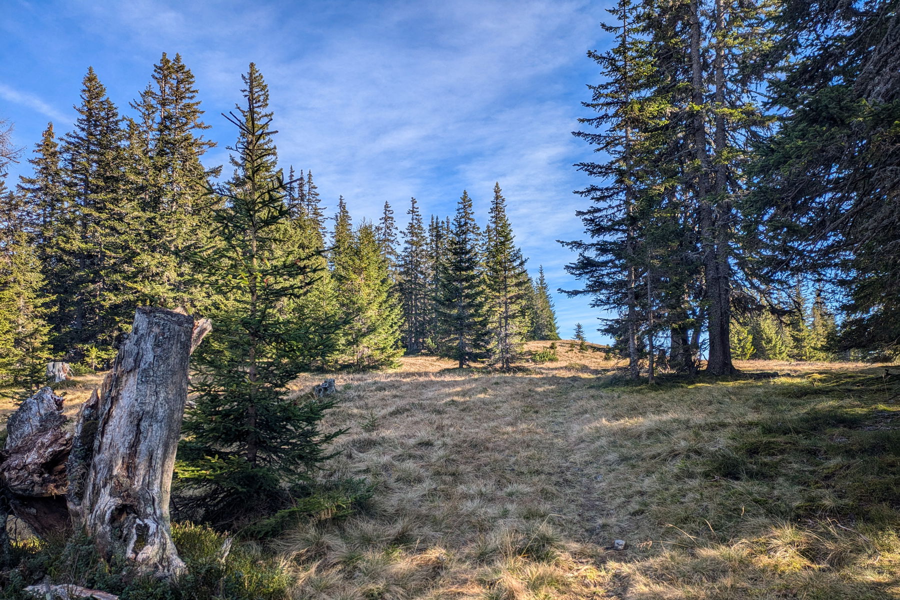 Eindrücke von unterwegs. Foto: Anna, POW AT