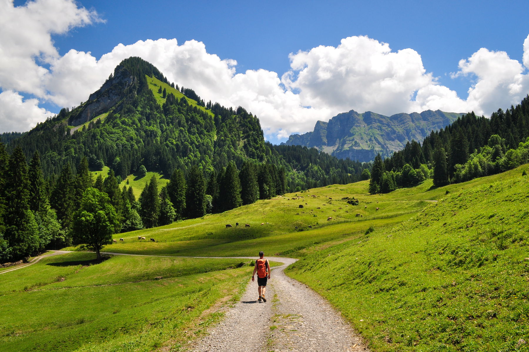 Start in Schönenbach. Foto: Norman und Lisa