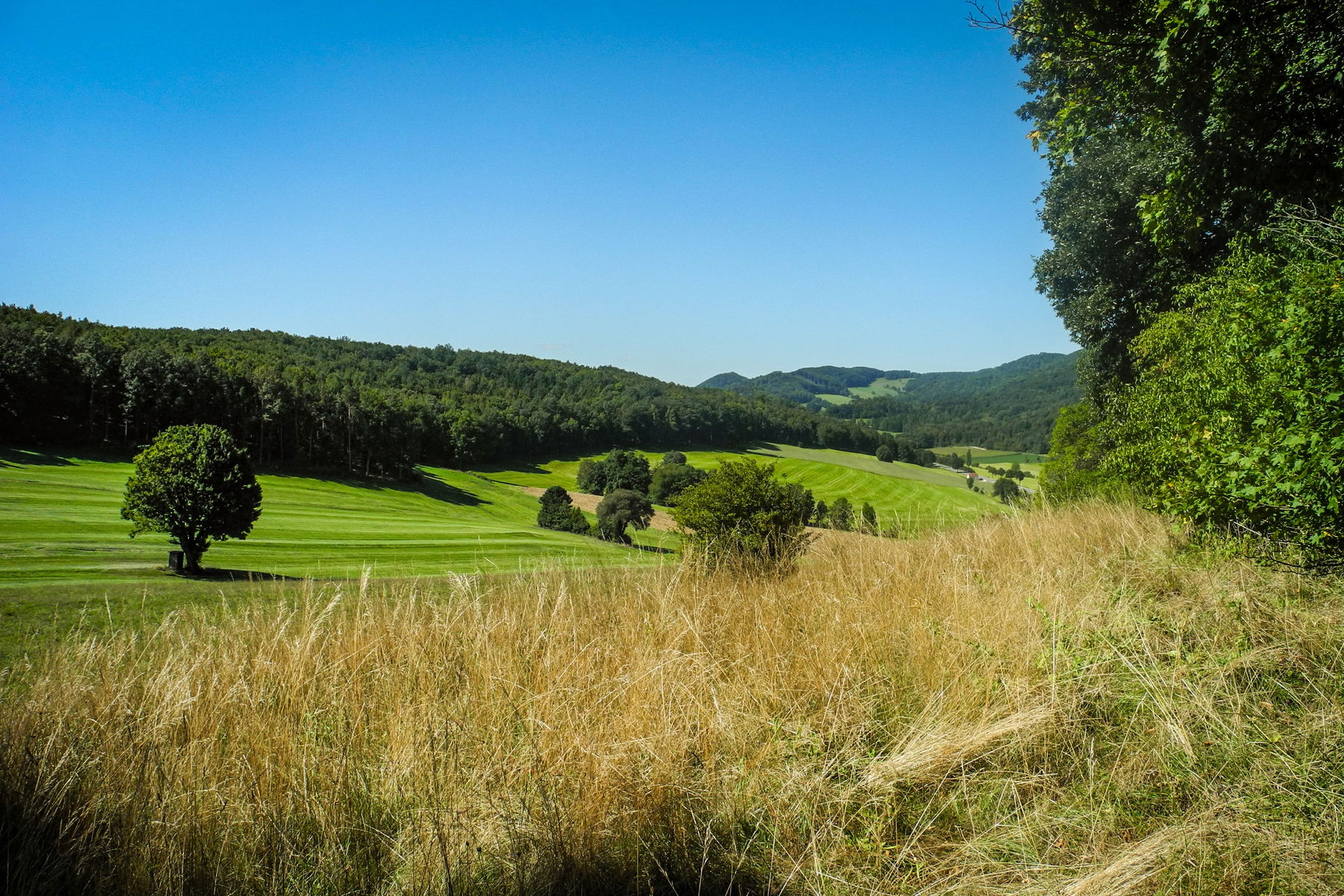 Blick vom Buchberg Richtung Westen. Foto: Barbara Wanzenböck