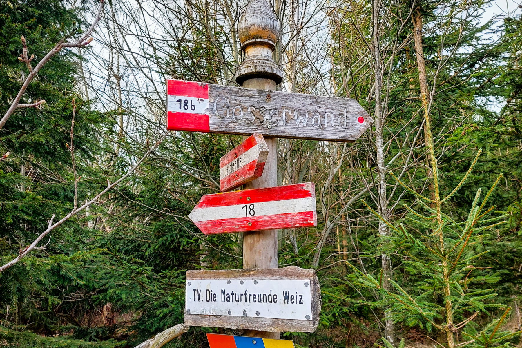Abzweiger Gösserwand, ich gehe diesmal links. Foto: Alice Frischherz