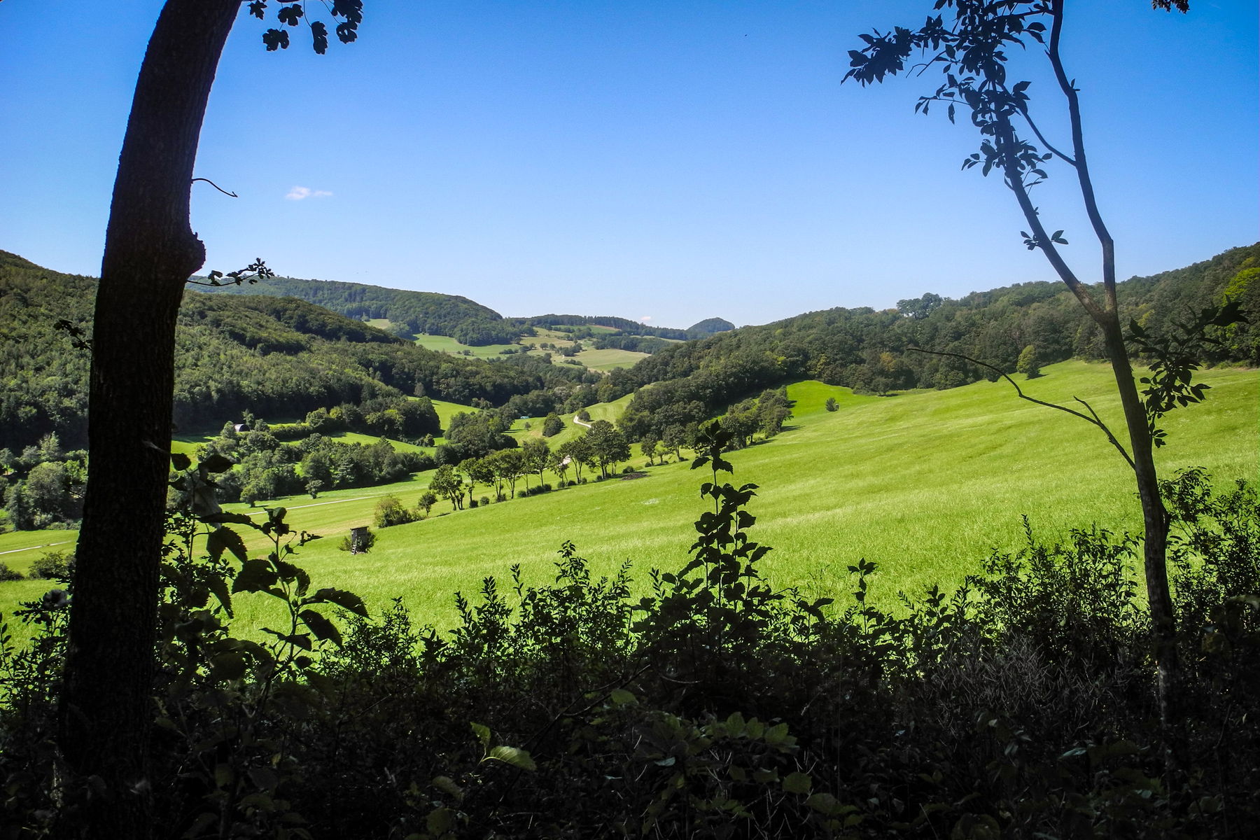 Blick von Untermeierhof Richtung Groisbach. Foto: Barbara Wanzenböck