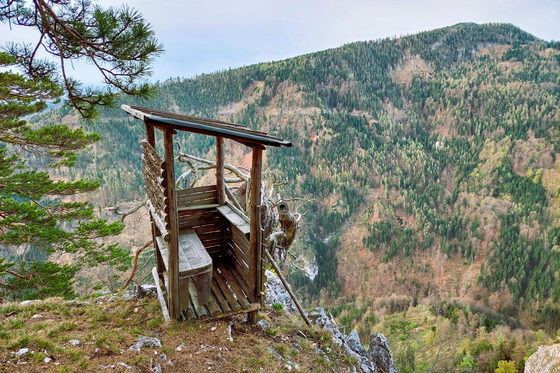 Pausenplatz gefunden. Foto: Alice Frischherz