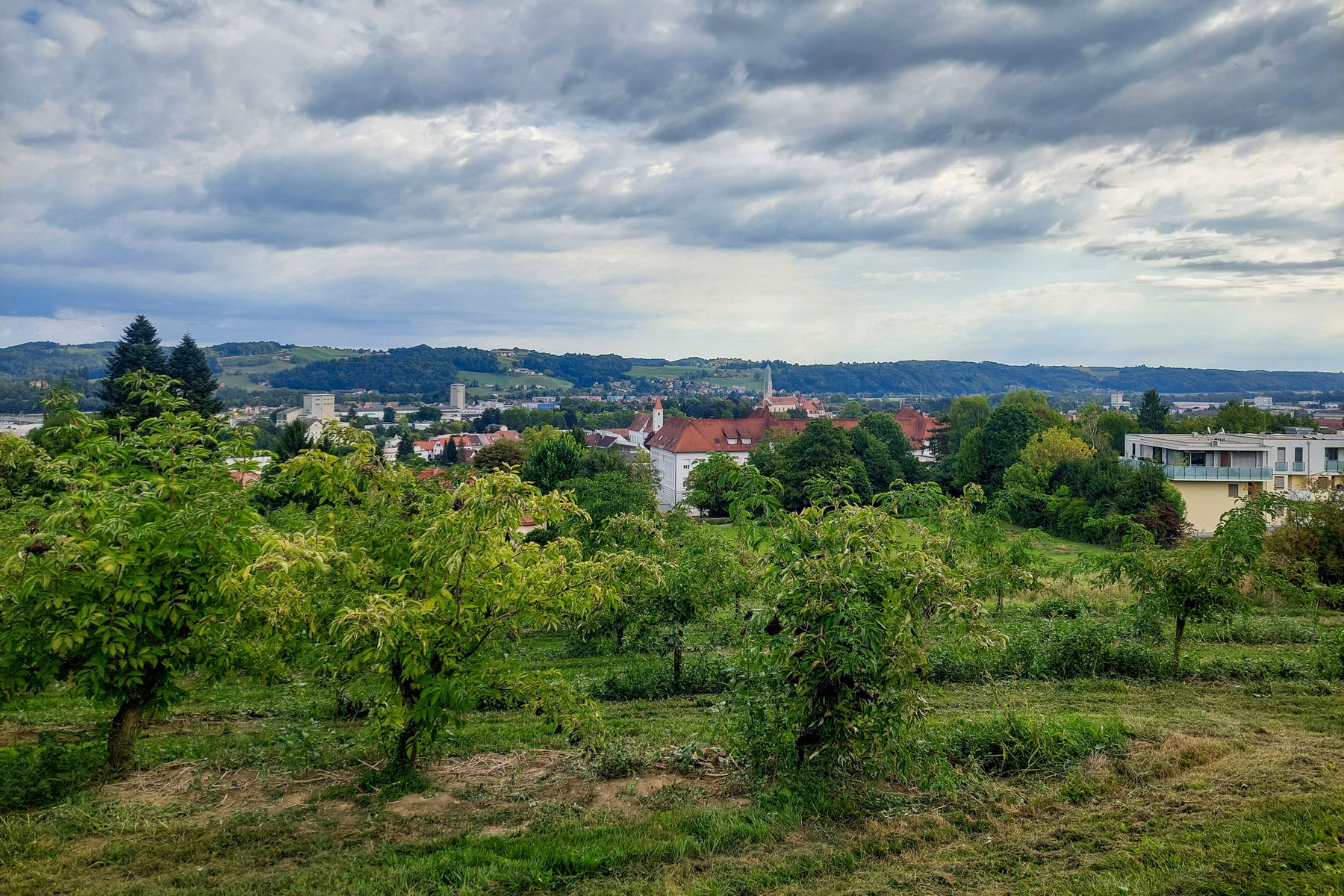 Aussicht über Feldbach; Am Kalvarienberg. Fotos: Alice Frischherz