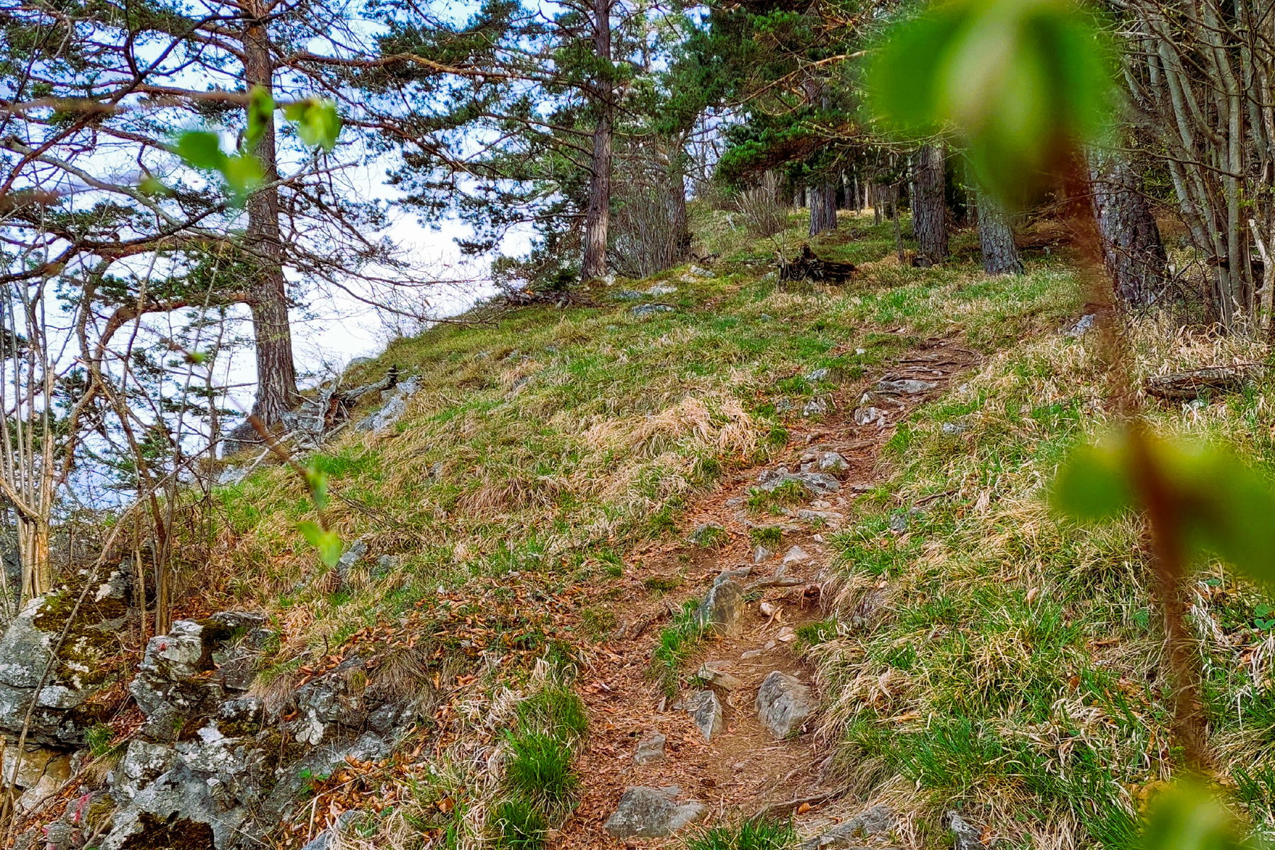 Weg rund um den Gösser, an der Gösserwand entlang. Foto: Alice Frischherz