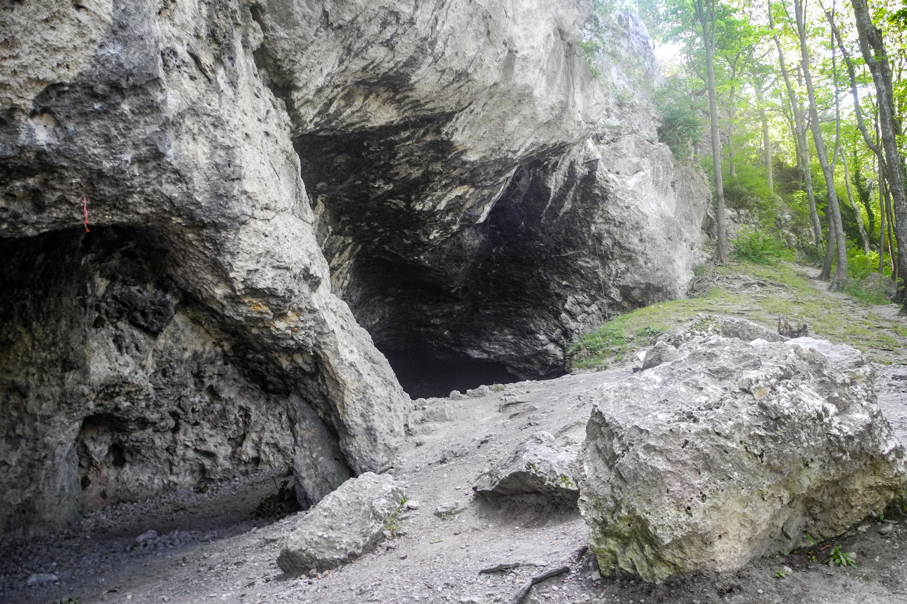 Die Arnsteinhöhle. Foto: Barbara Wanzenböck