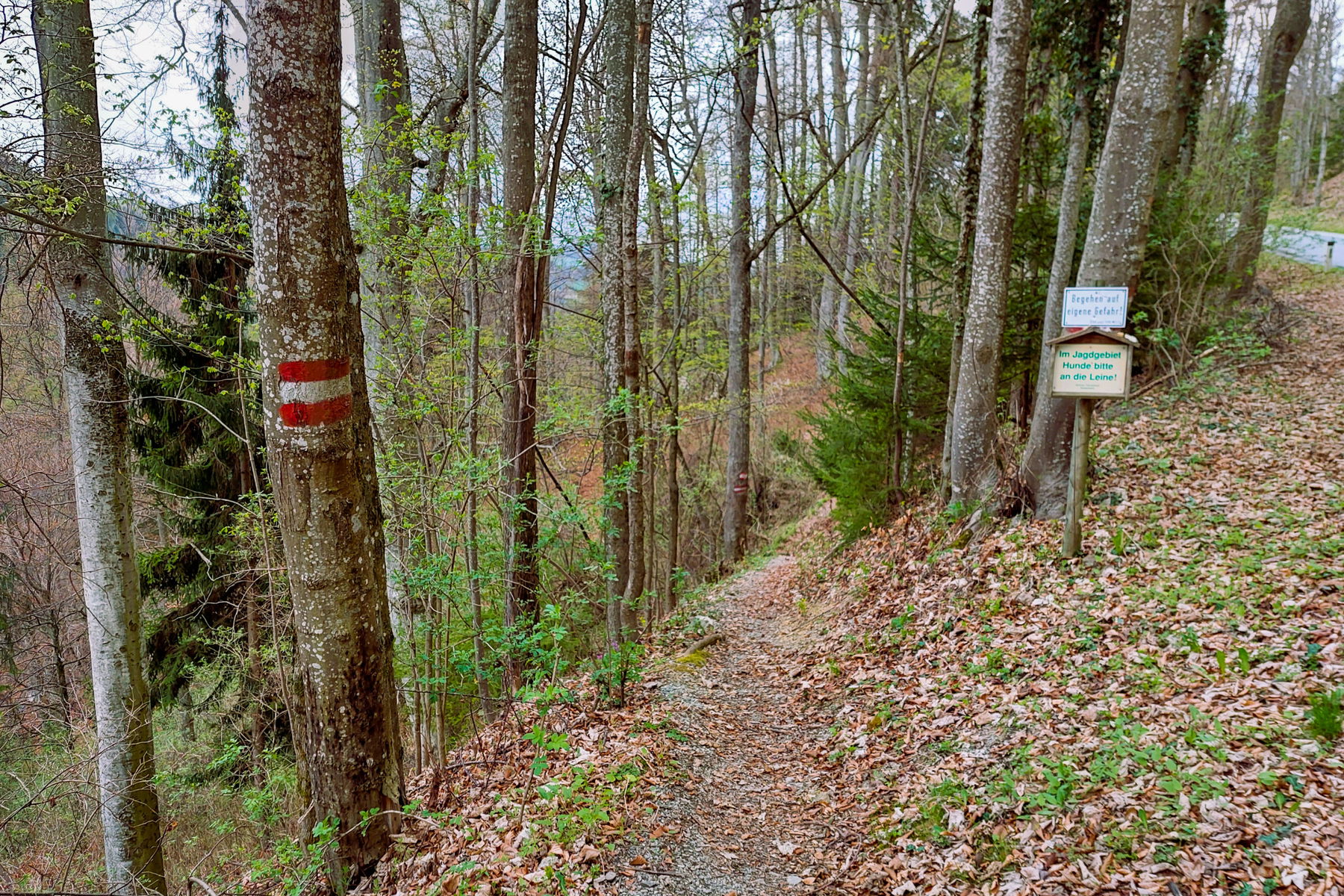 Bei den Wanderschildern biege ich auf den Arzberger Kirchsteig ab. Foto: Alice Frischherz