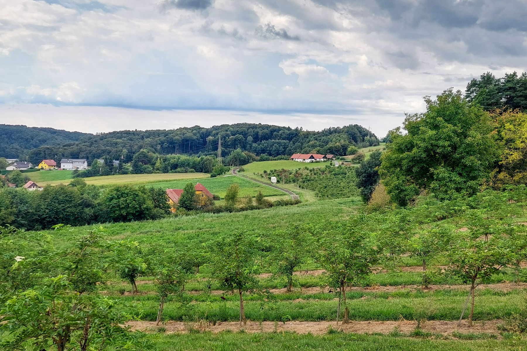 Die Gleise erblickt; Südoststeirische Hügellandschaft. Fotos: Alice Frischherz