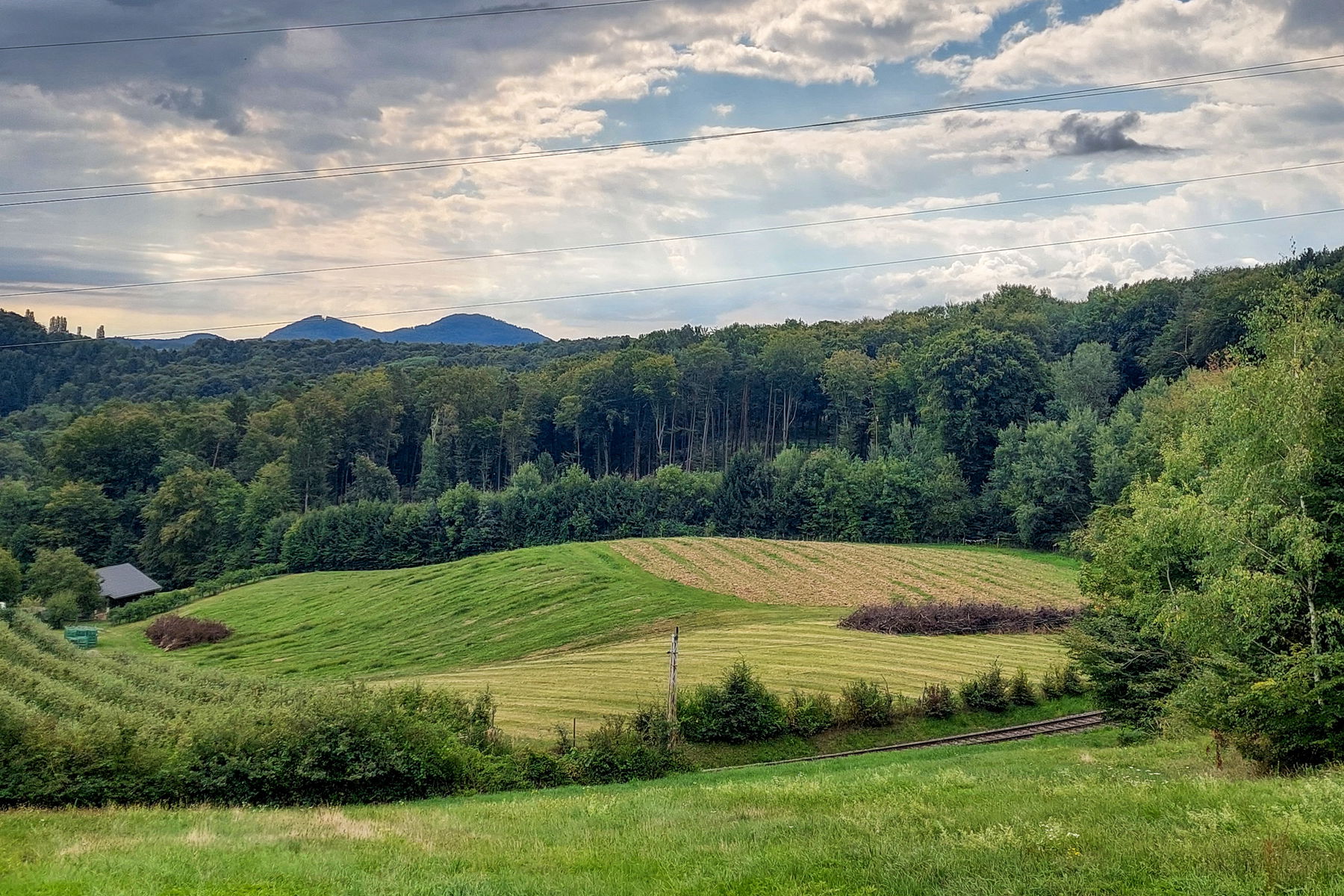 Die Gleise erblickt; Südoststeirische Hügellandschaft. Fotos: Alice Frischherz