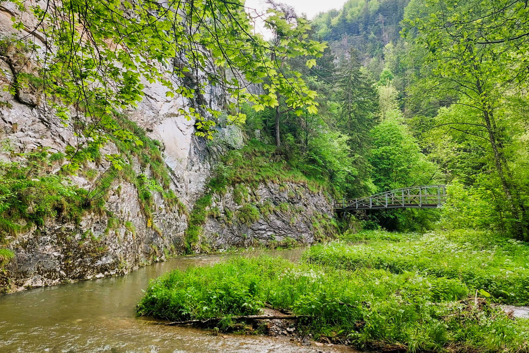 Raabklammweg: Felswand und Brücke. Foto: Alice Frischherz