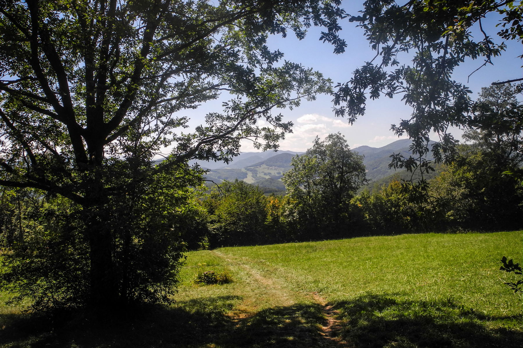 Abstieg über Wiesen und Waldstücke. Foto: Barbara Wanzenböck