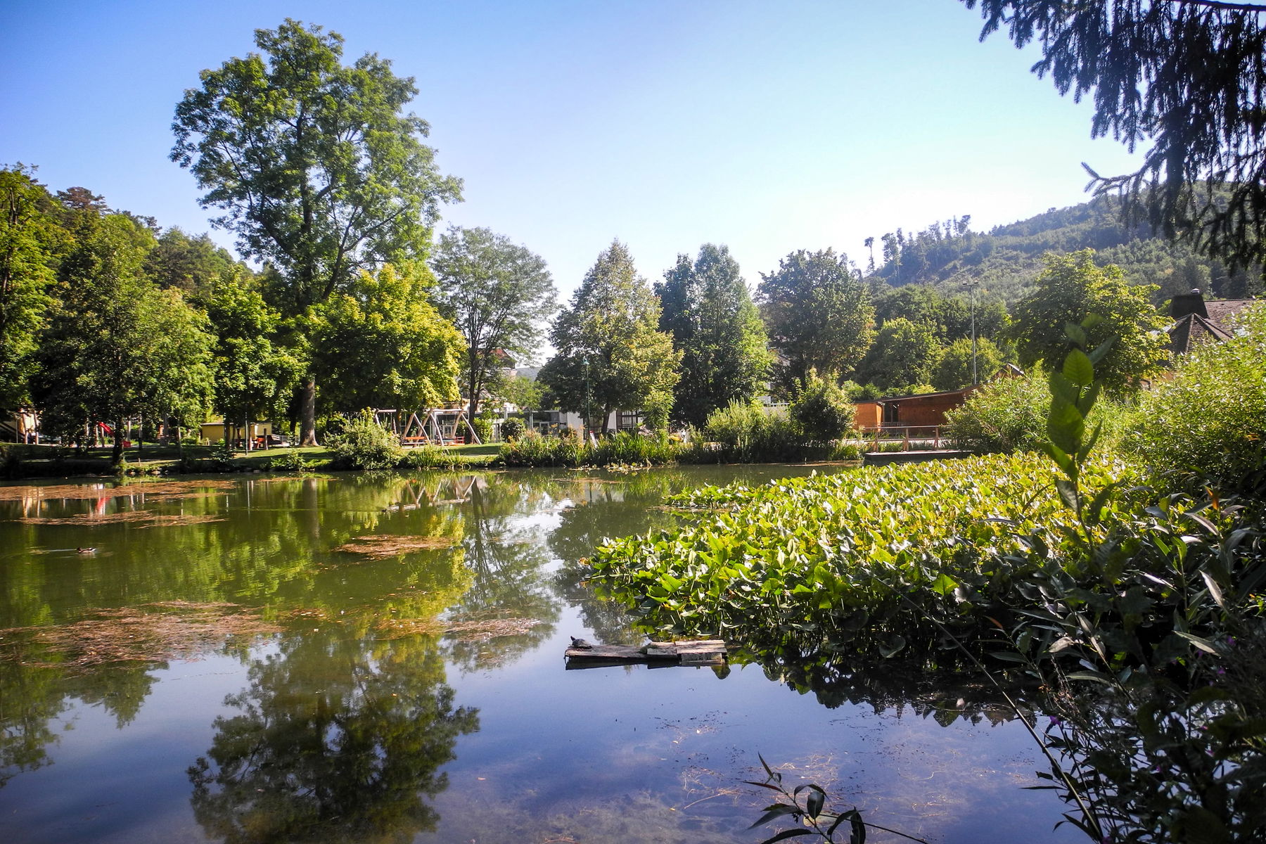 Teepause beim ehemaligen Kurteich in Neumarkt. Foto: Barbara Wanzenböck