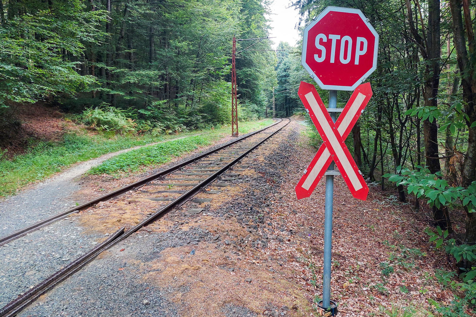 Zufällig an dieser Stelle als der Zug kommt; Viele Bahnübergänge im Wald. Fotos: Alice Frischherz
