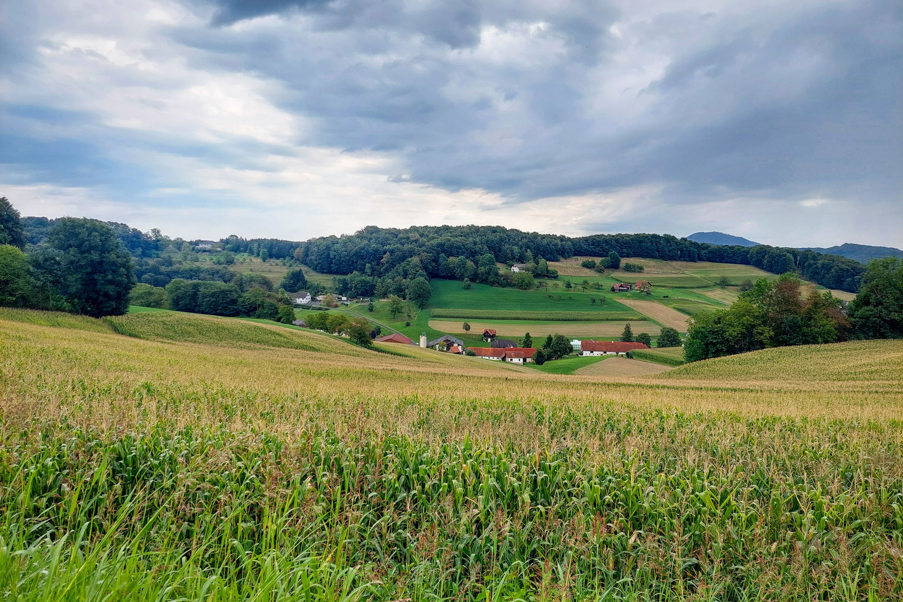 Impressionen entlang des Weges. Fotos: Alice Frischherz