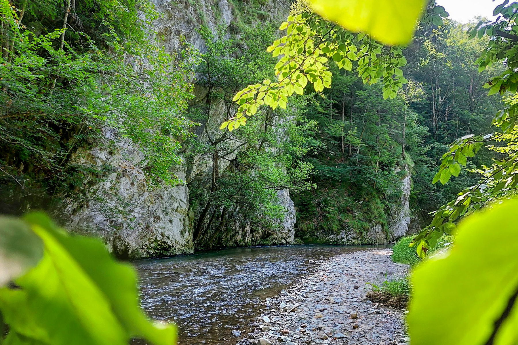 Impressionen große Raabklamm. Fotos: Alice Frischherz
