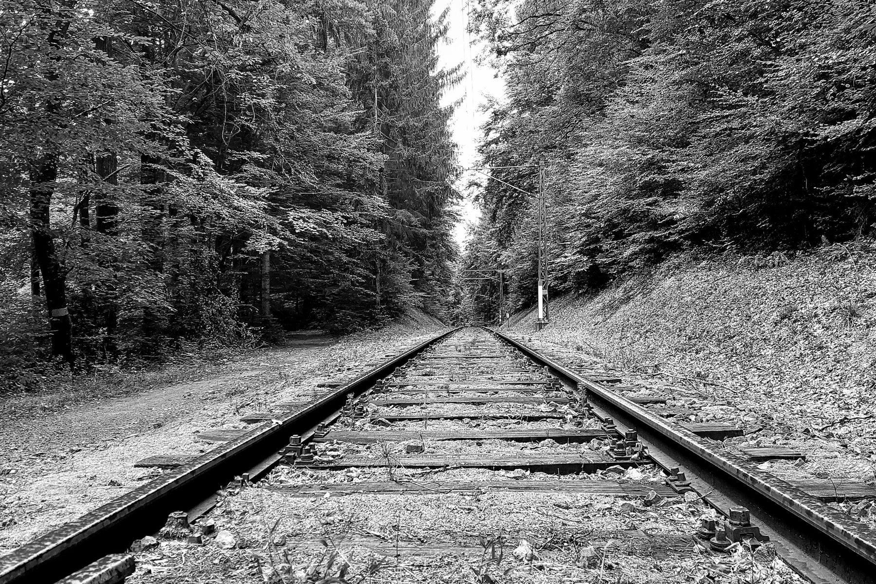 Impressionen entlang des Weges. Fotos: Alice Frischherz