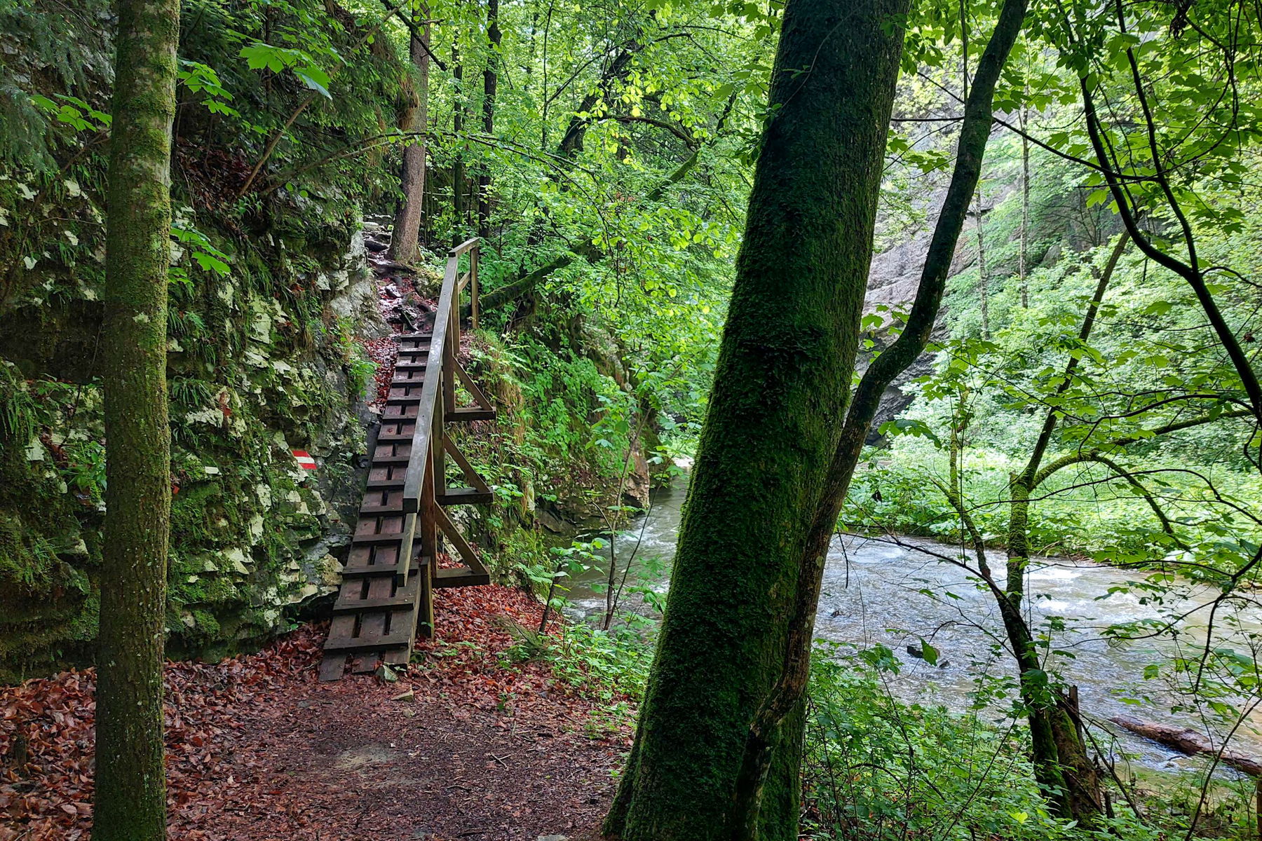 Impressionen große Raabklamm. Fotos: Alice Frischherz