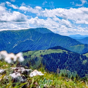Überschreitung des Aussichtsbergs Tonion in den nördlichen Mürzsteger Alpen