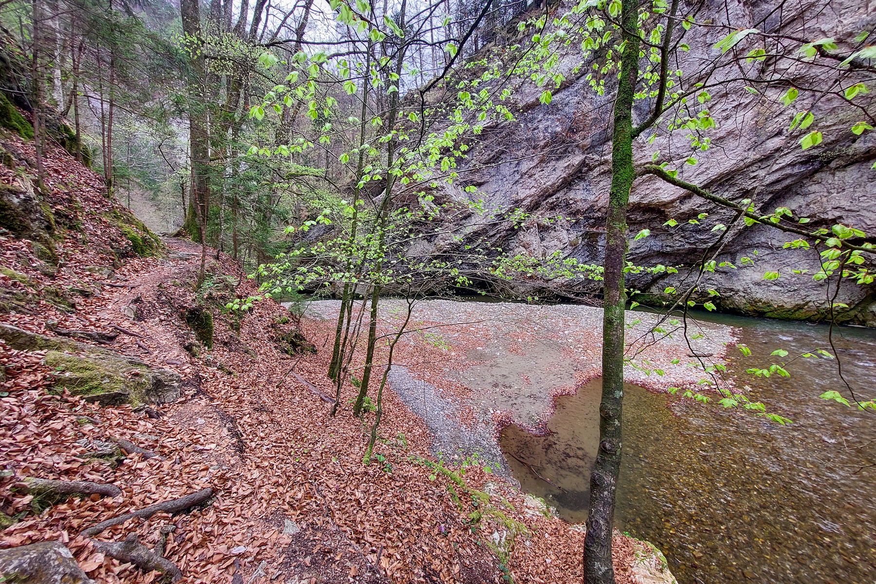 Impressionen große Raabklamm. Fotos: Alice Frischherz