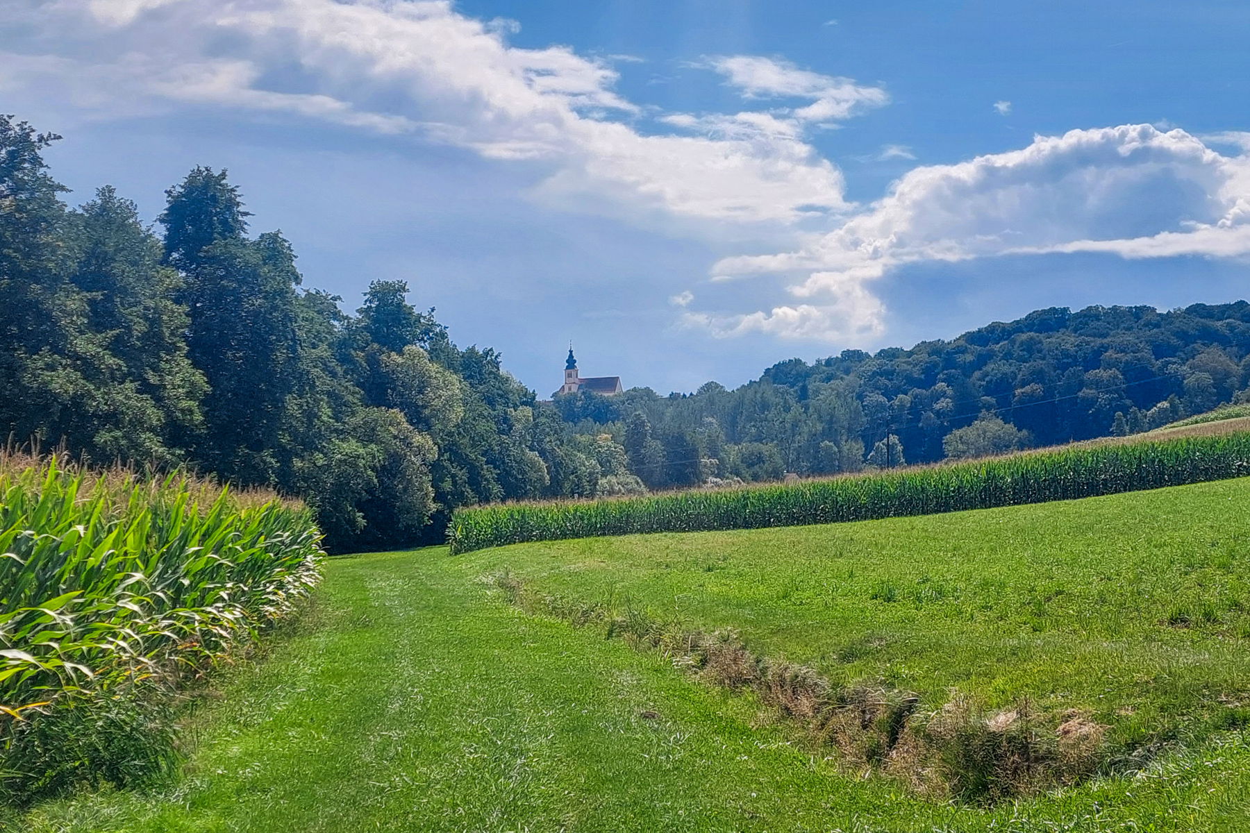 Die Kirche von Trautmannsdorf im Blick. Foto: Alice Frischherz