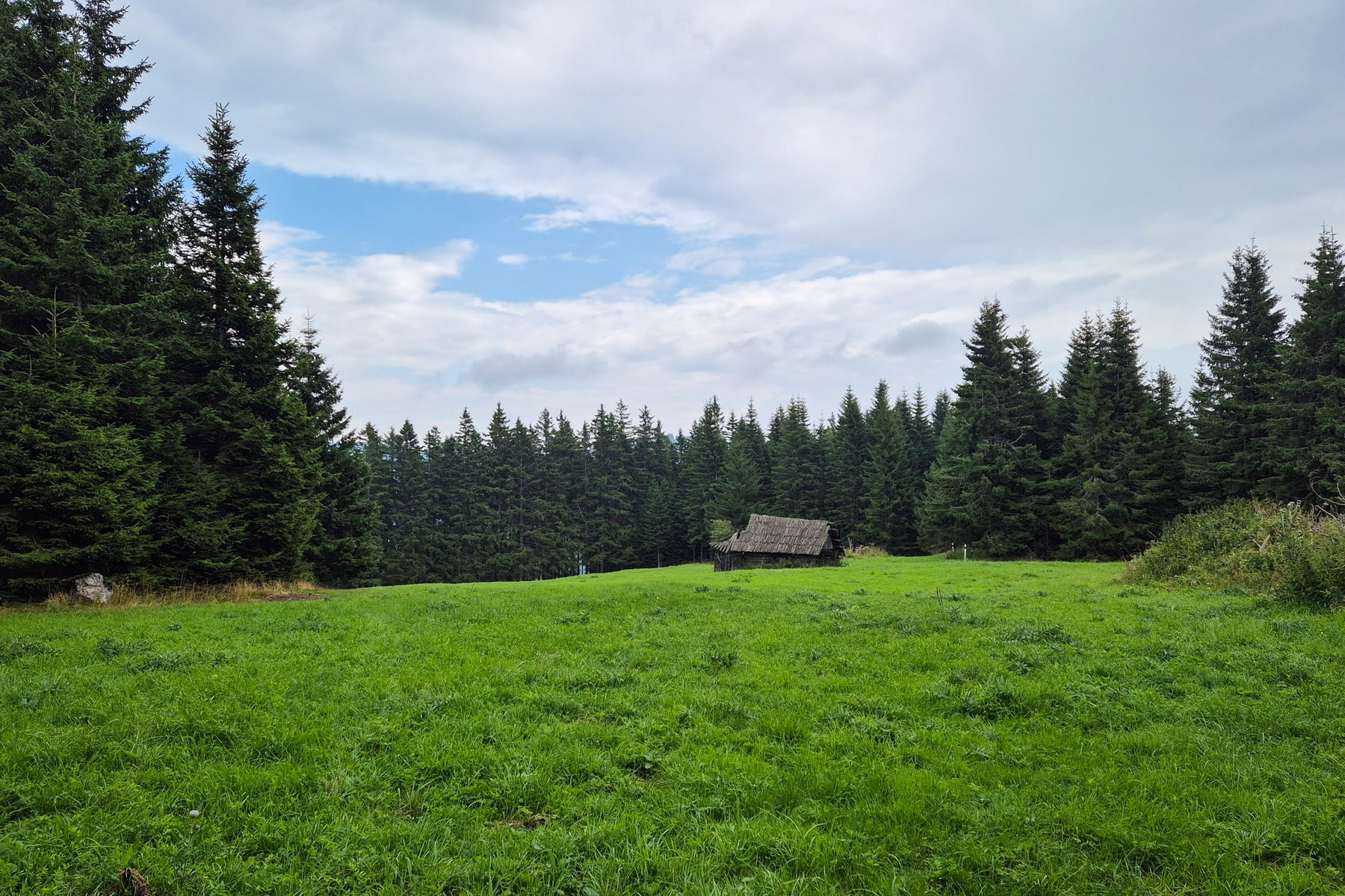 Im Regen überquere ich die Beeralpl und vor mir sehe ich schon den blauen Himmel. Foto: Linda Prähauser