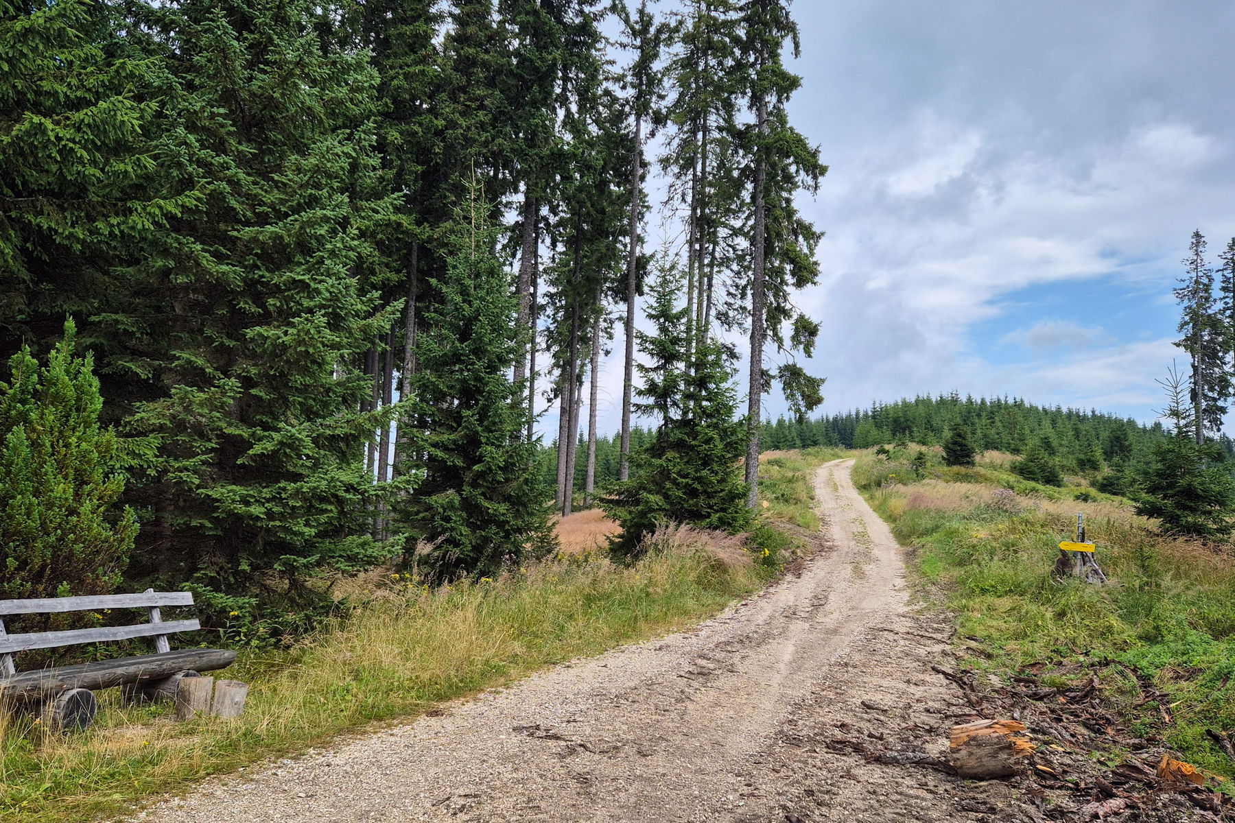 Meine erste Pause auf der Bank in der Sonne neben einem Ameisenhaufen. Foto: Linda Prähauser