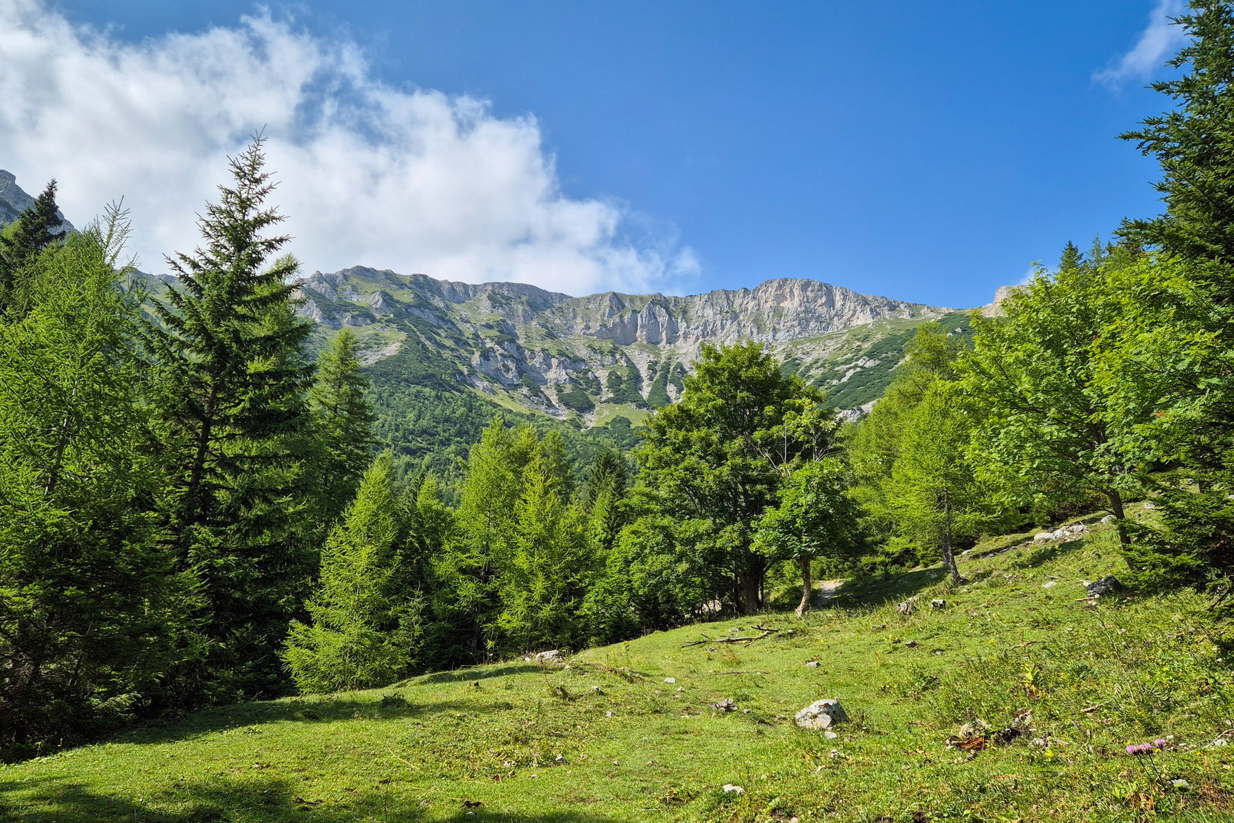 Am Weg zum Waxriegelhaus. Foto: Linda Prähauser